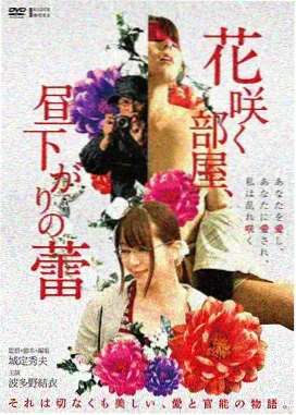 悬疑推理题材国产剧高清剧集在线观看卡片封面